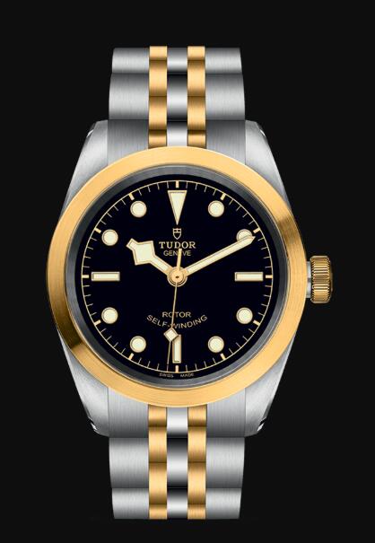 Tudor BLACK BAY 32 S&G M79583-0001 Replica Watch